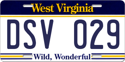 WV license plate DSV029