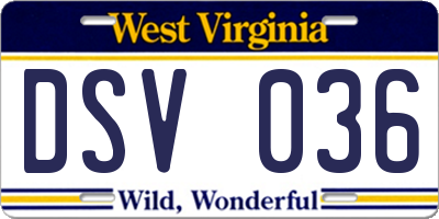 WV license plate DSV036