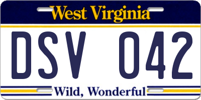 WV license plate DSV042