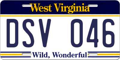 WV license plate DSV046