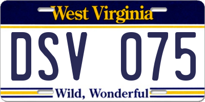 WV license plate DSV075