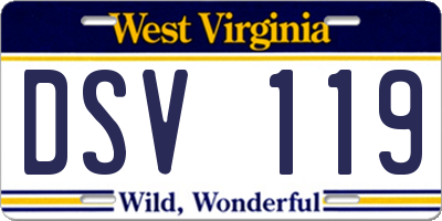 WV license plate DSV119