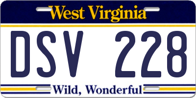 WV license plate DSV228