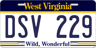 WV license plate DSV229