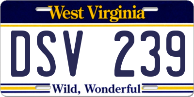 WV license plate DSV239