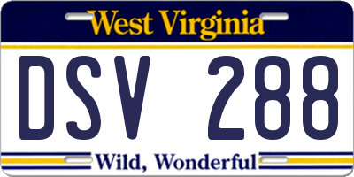 WV license plate DSV288