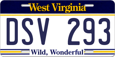 WV license plate DSV293