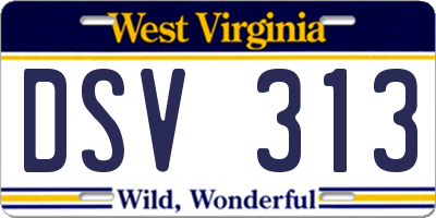 WV license plate DSV313