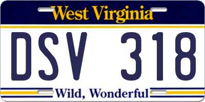 WV license plate DSV318