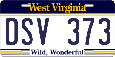WV license plate DSV373