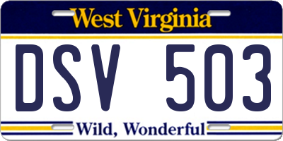 WV license plate DSV503