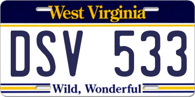 WV license plate DSV533