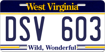 WV license plate DSV603