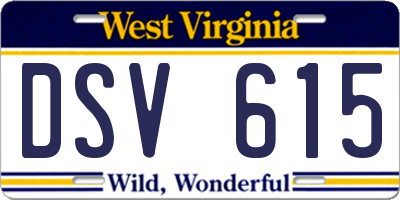 WV license plate DSV615