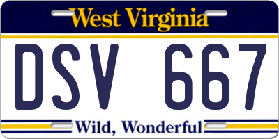 WV license plate DSV667