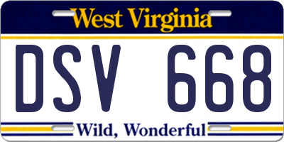 WV license plate DSV668