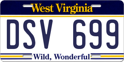WV license plate DSV699