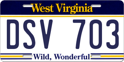 WV license plate DSV703
