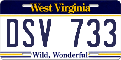 WV license plate DSV733
