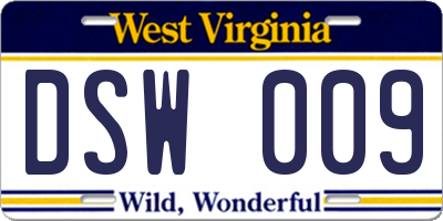 WV license plate DSW009