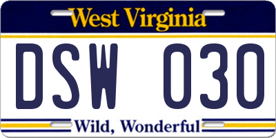 WV license plate DSW030