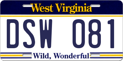 WV license plate DSW081