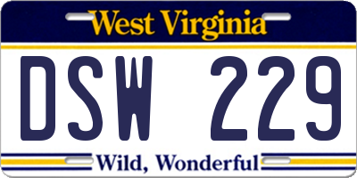 WV license plate DSW229