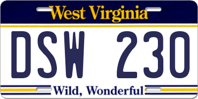 WV license plate DSW230