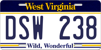 WV license plate DSW238