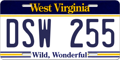 WV license plate DSW255