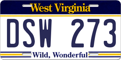 WV license plate DSW273