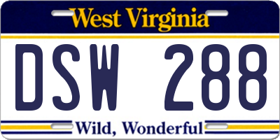 WV license plate DSW288