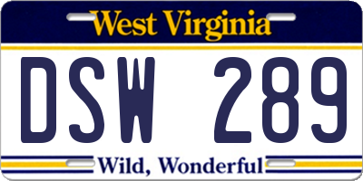 WV license plate DSW289