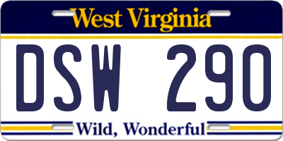 WV license plate DSW290