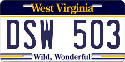 WV license plate DSW503