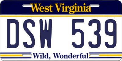 WV license plate DSW539