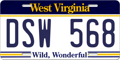 WV license plate DSW568