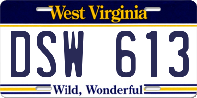 WV license plate DSW613