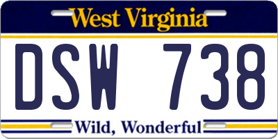 WV license plate DSW738