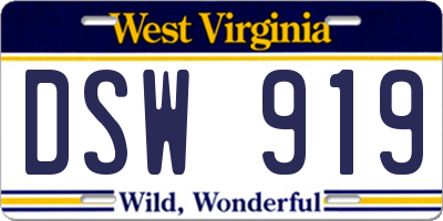 WV license plate DSW919