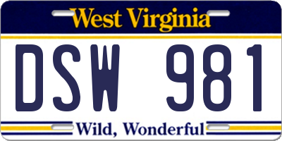 WV license plate DSW981