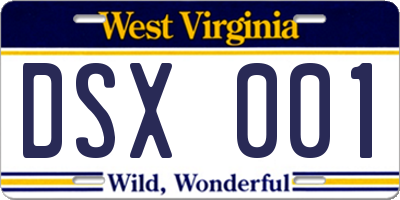 WV license plate DSX001