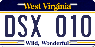 WV license plate DSX010
