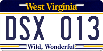 WV license plate DSX013