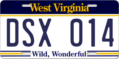WV license plate DSX014