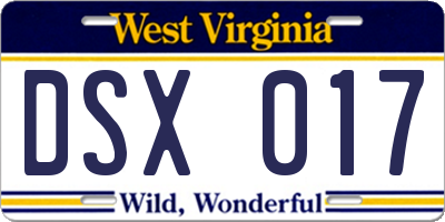 WV license plate DSX017
