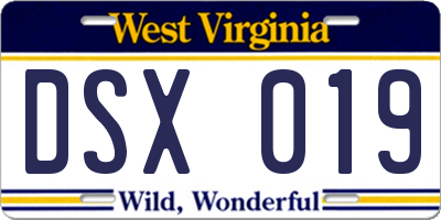 WV license plate DSX019