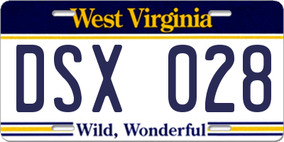 WV license plate DSX028