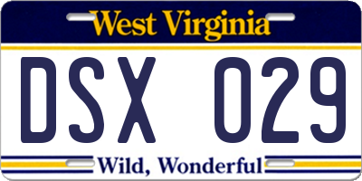 WV license plate DSX029