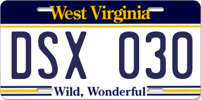 WV license plate DSX030